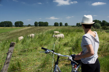 Radtour am Niederrhein