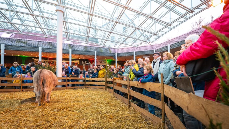 Lebendige Krippe der Lebenshilfe im Kreis Kleve.